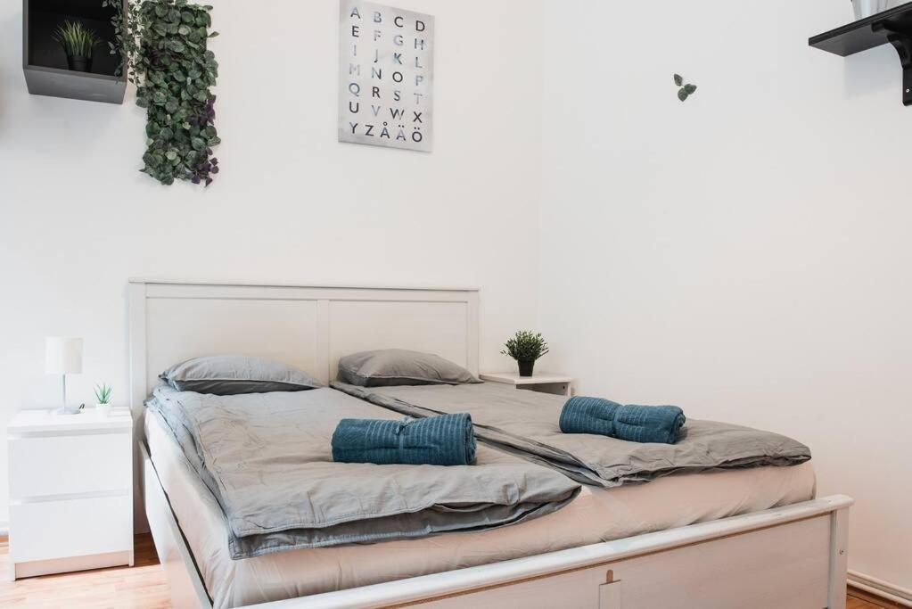 Big Apartment In The City Centre — Fotók 1