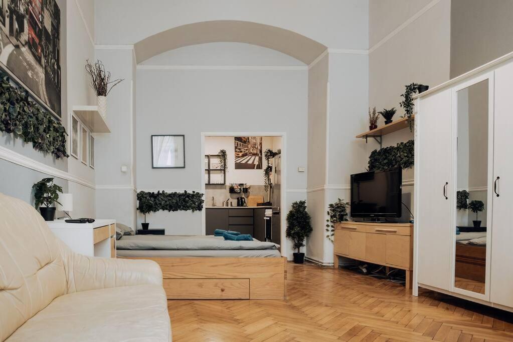 Big Apartment In The City Centre — Fotók 2
