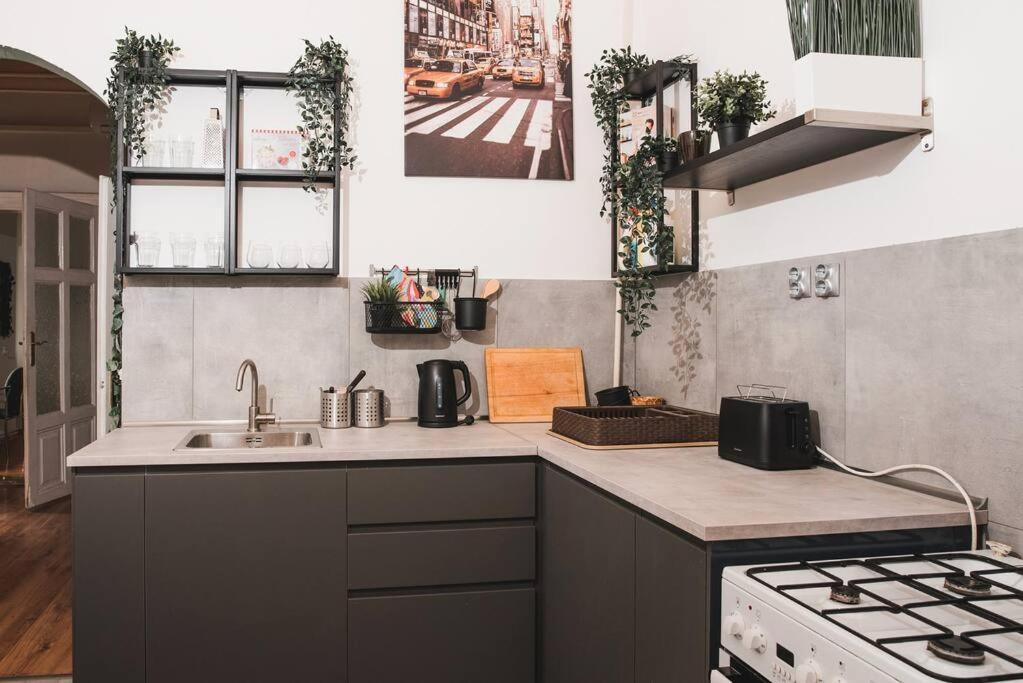 Big Apartment In The City Centre — Fotók 3